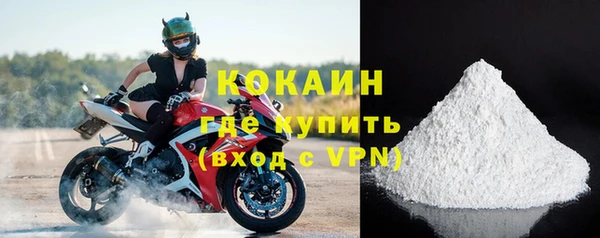 прущие грибы Абаза