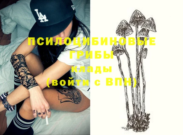 амф Абдулино