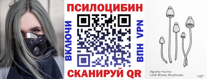 как найти наркотики  Белоозёрский  Псилоцибиновые грибы Magic Shrooms 